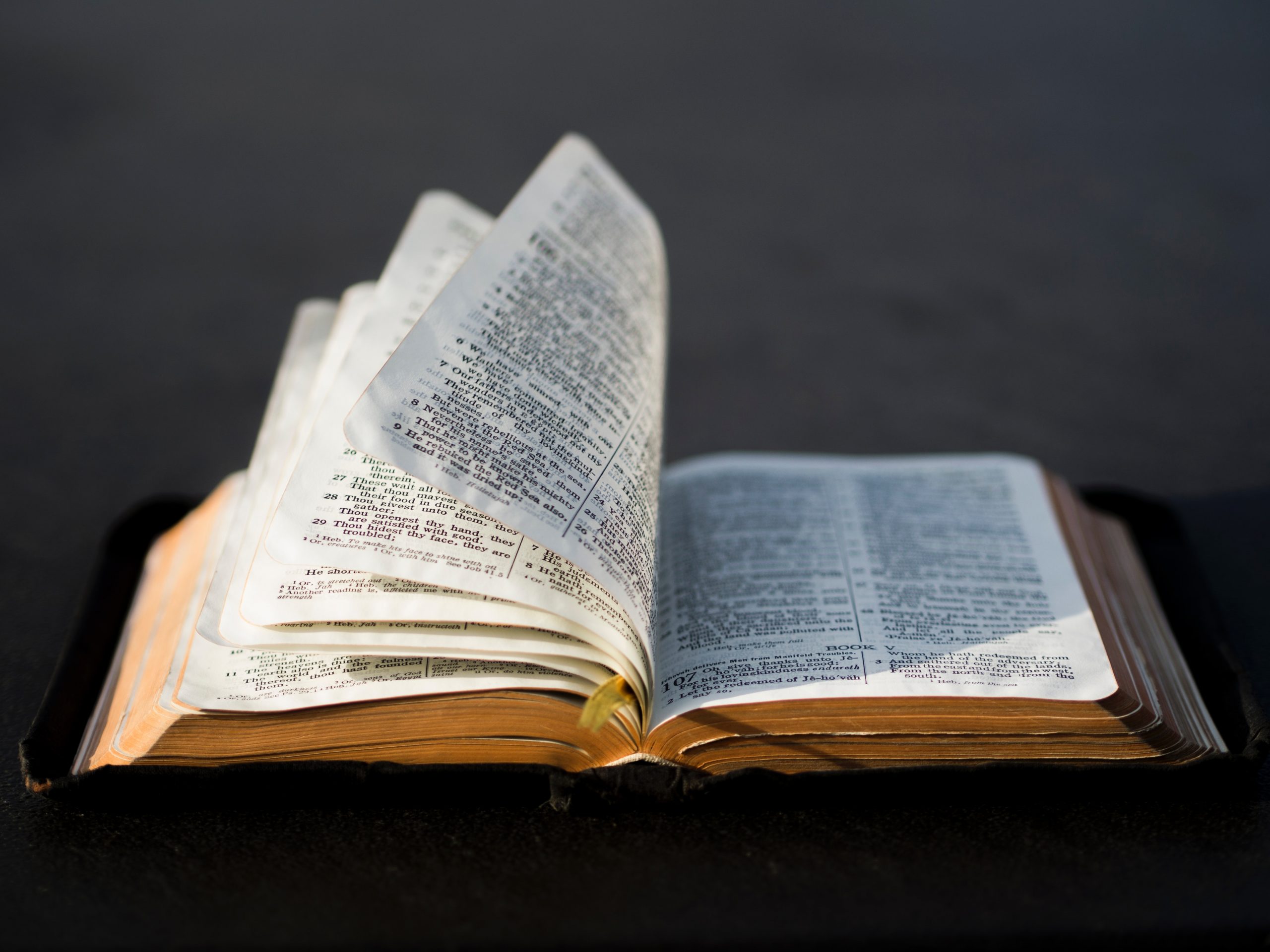 Wednesday Night Bible Study – Why do we study the Bible?