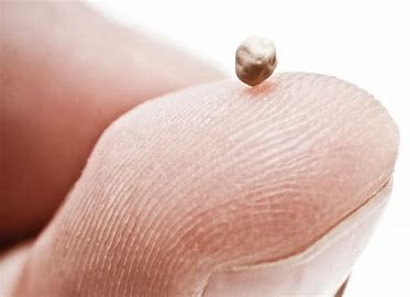 Bible Study: The Parable of the Mustard Seed