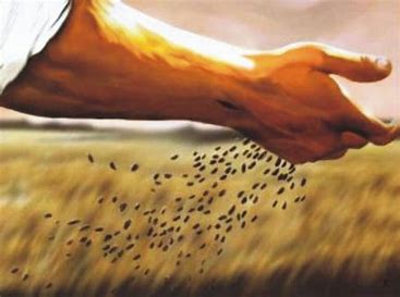 Wednesday night Bible Study – Sower of Seeds Pt. 1