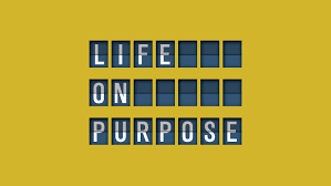 Purpose? What is it?