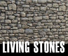 We are the Living Stones of the Temple!